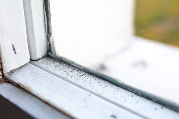 Best Air Quality Testing for Mold Spores  in Shelby, NC